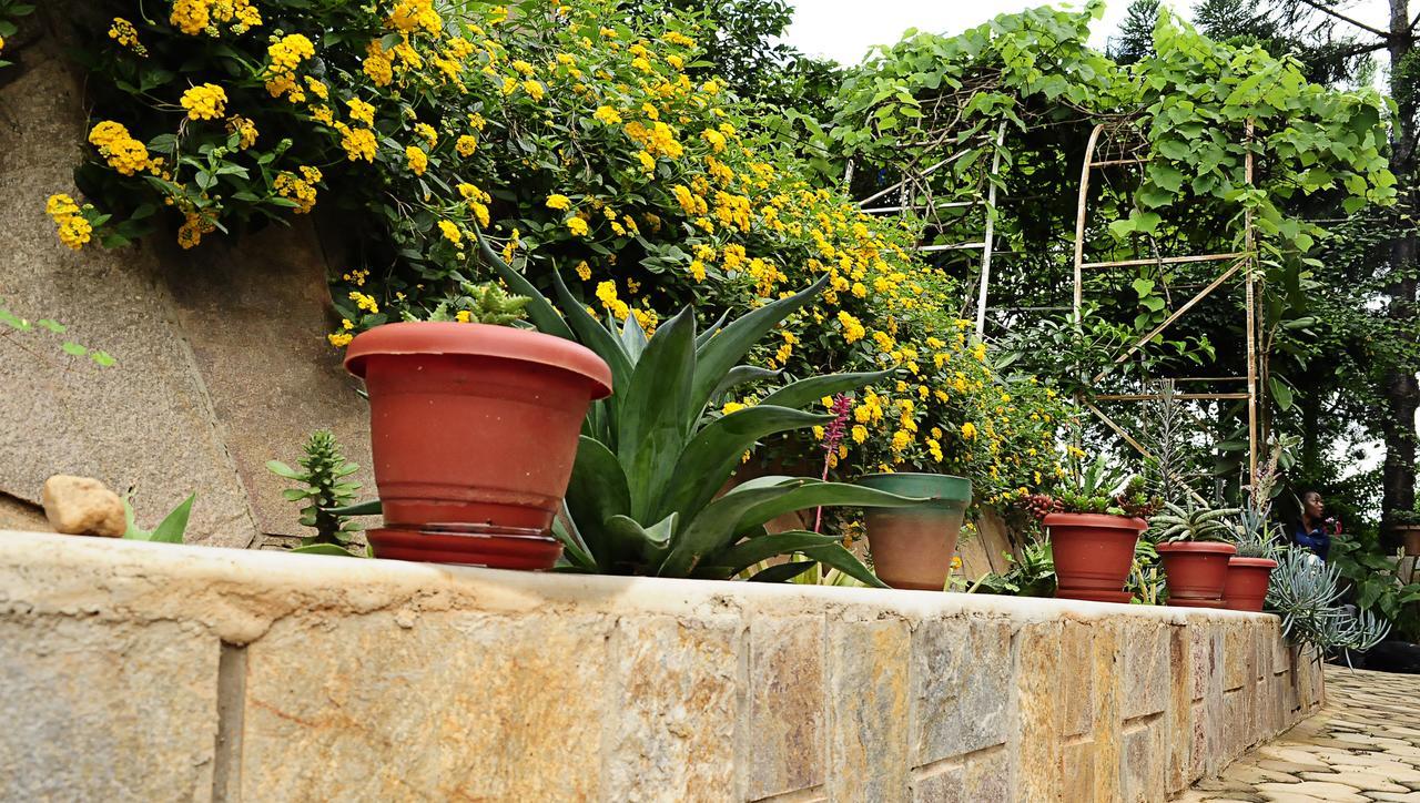 The Shoebill Nest Bed & Breakfast Kampala Bagian luar foto